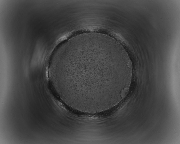 X0000085830640200703231421