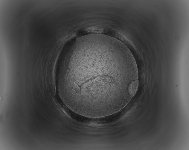 X0000085830641200703231421