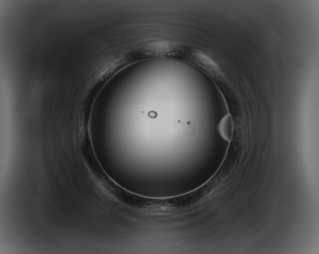 X0000085830642200703231421