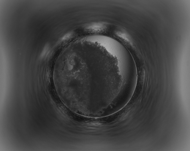 X0000085830643200703231421