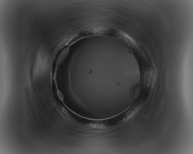 X0000085830644200703231421