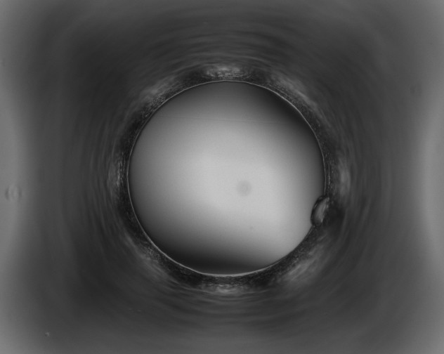 X0000085830645200703231421