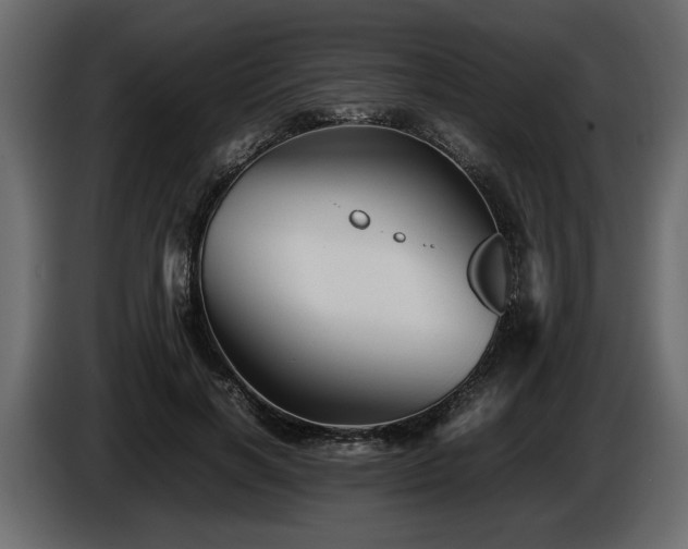 X0000085830646200703231421