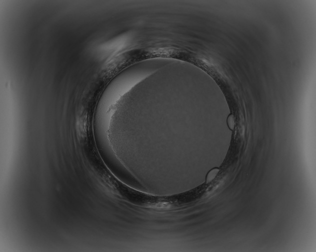 X0000085830647200703231421