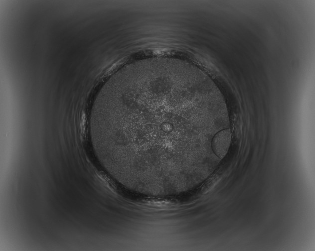 X0000085830650200703231421