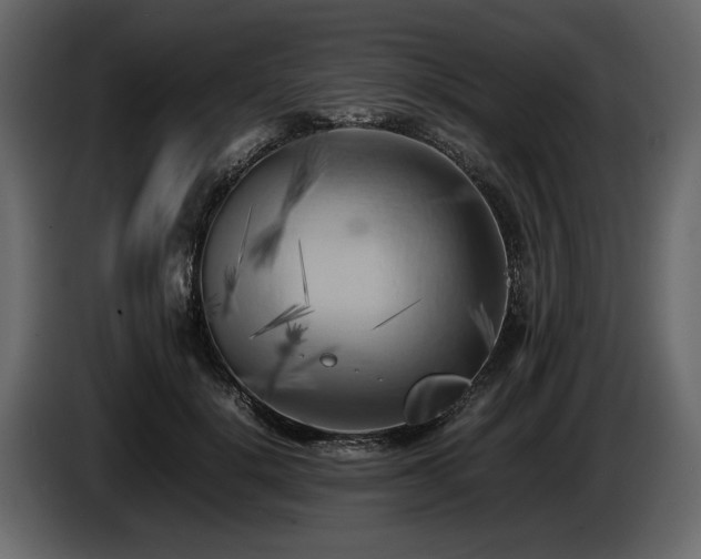 X0000085830652200703231421