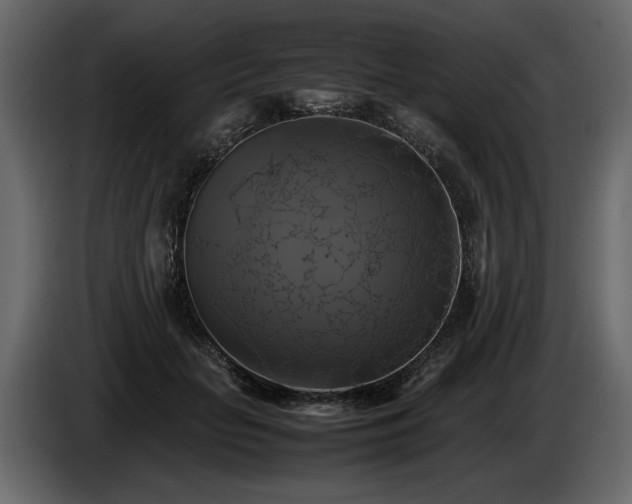 X0000085830653200703231421