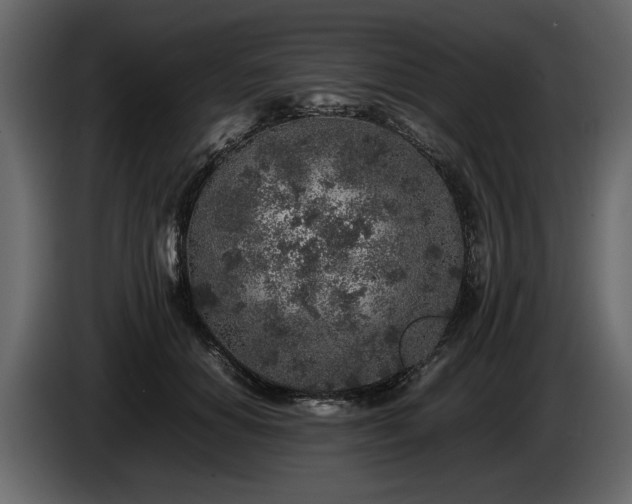 X0000085830654200703231421