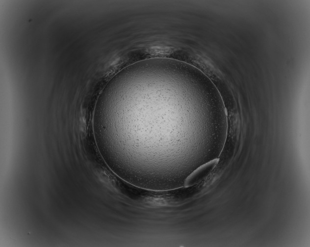 X0000085830655200703231421