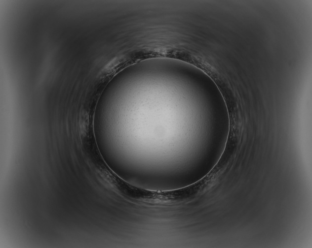 X0000085830656200703231421