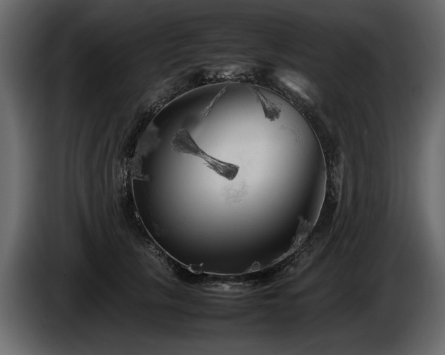 X0000085830657200703231421