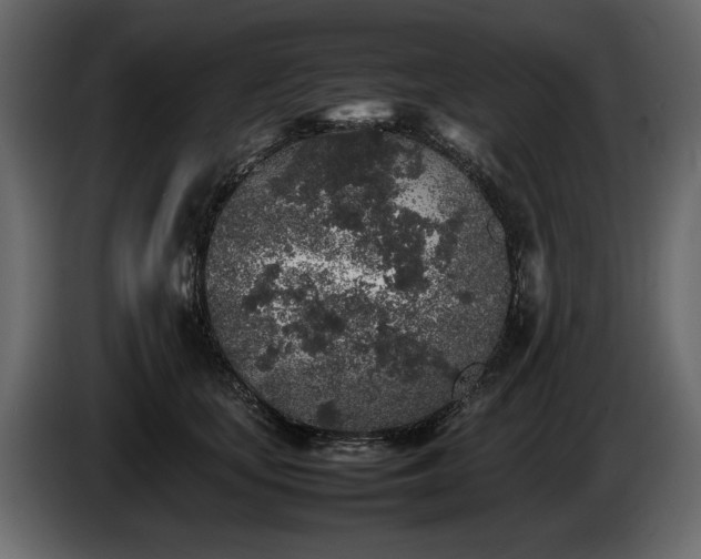 X0000085830659200703231421