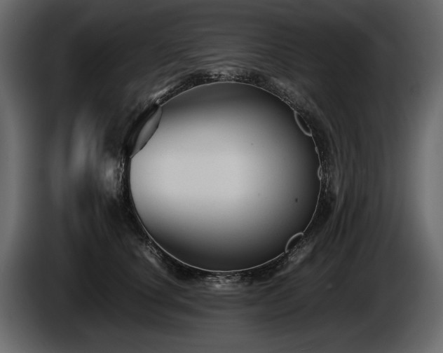 X0000085830660200703231421