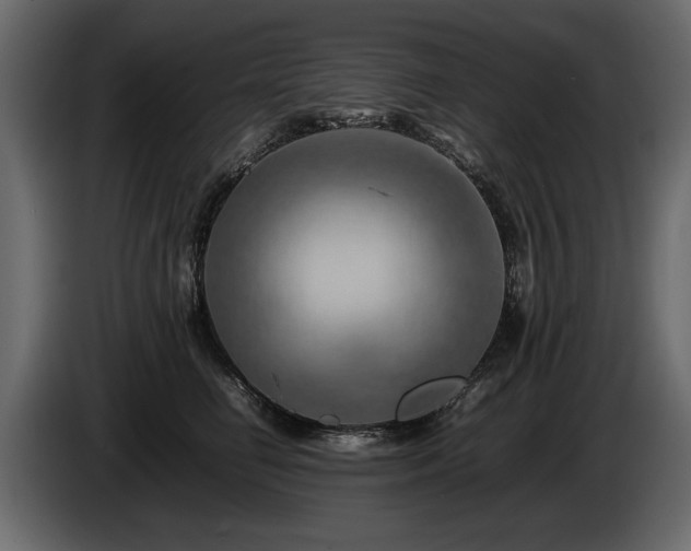 X0000085830662200703231421