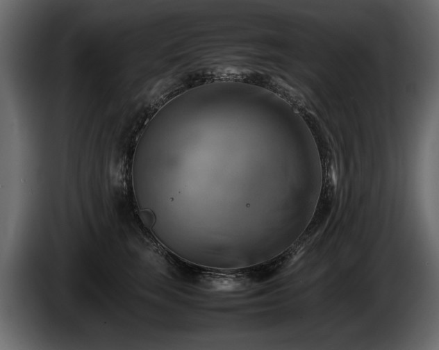 X0000085830663200703231421