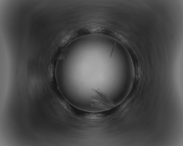 X0000085830664200703231421
