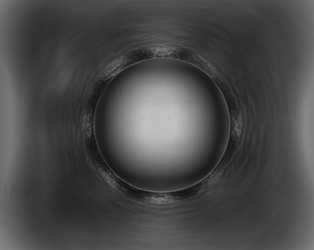 X0000085830666200703231421