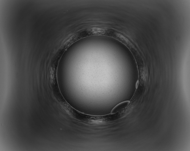 X0000085830667200703231421