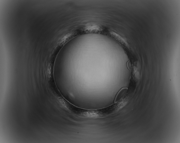 X0000085830668200703231421