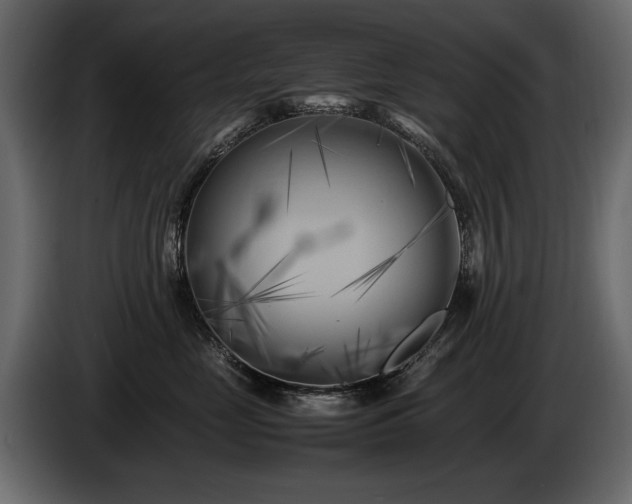 X0000085830669200703231421