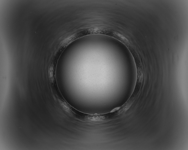 X0000085830670200703231421