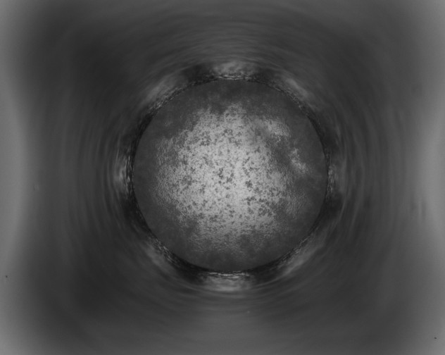 X0000085830671200703231421