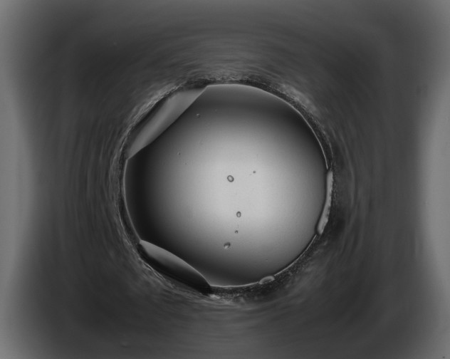 X0000085830673200703231421