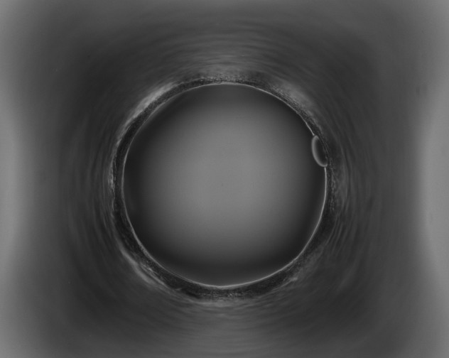 X0000085830674200703231421