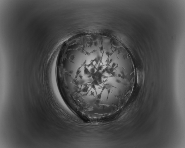 X0000085830675200703231421