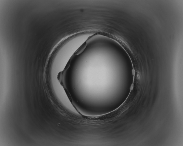 X0000085830676200703231421