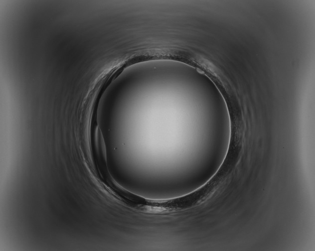 X0000085830677200703231421