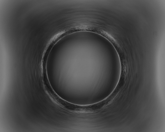 X0000085830678200703231421