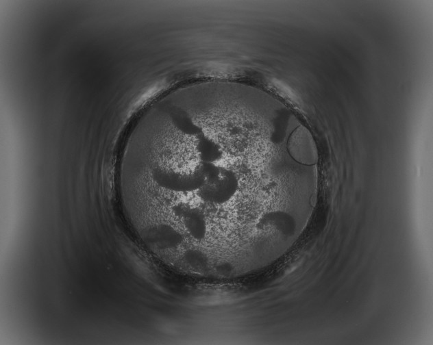 X0000085830679200703231421