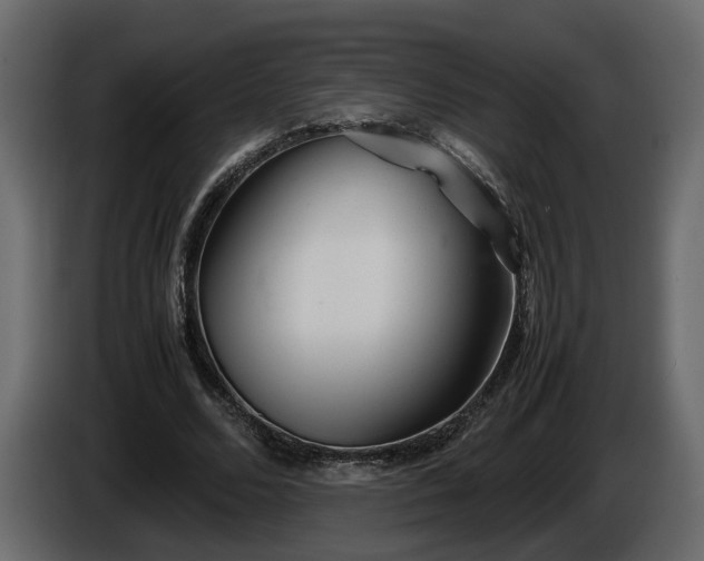 X0000085830680200703231421