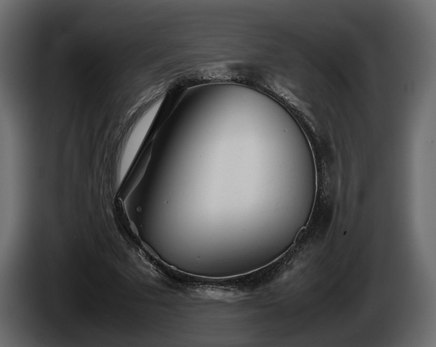 X0000085830681200703231421