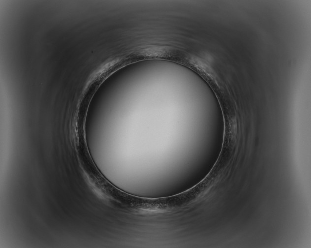 X0000085830682200703231421