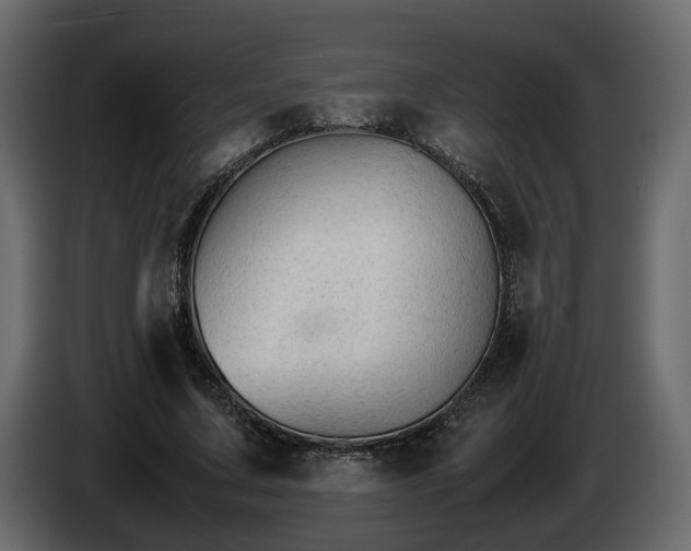 X0000085830683200703231421