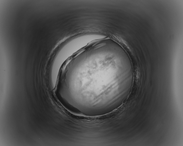 X0000085830684200703231421