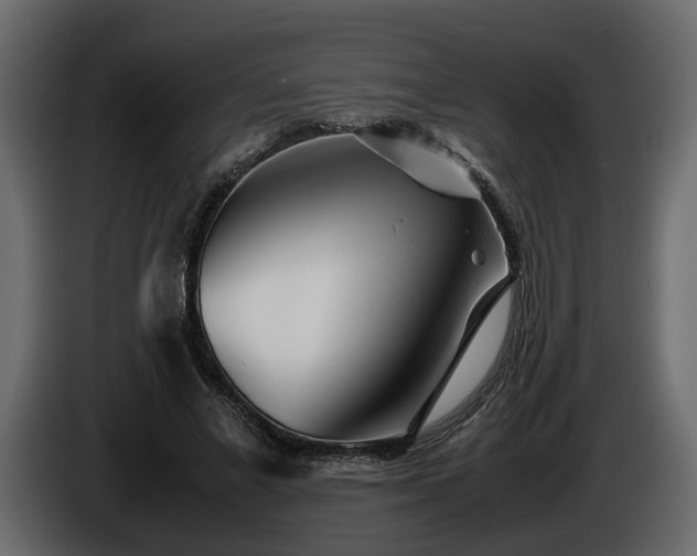 X0000085830685200703231420