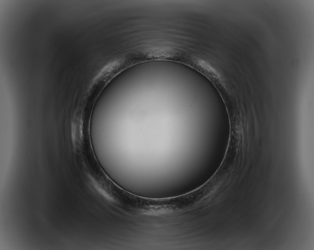 X0000085830686200703231420