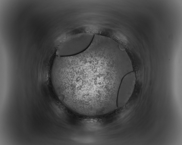 X0000085830687200703231420