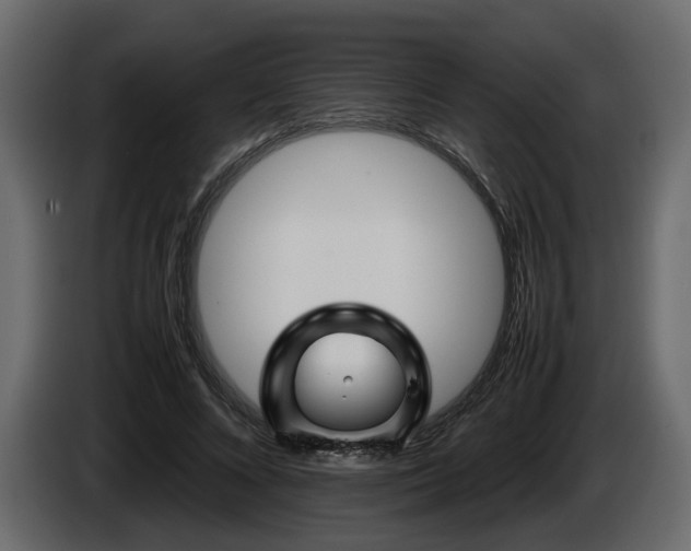 X0000085830688200703231420