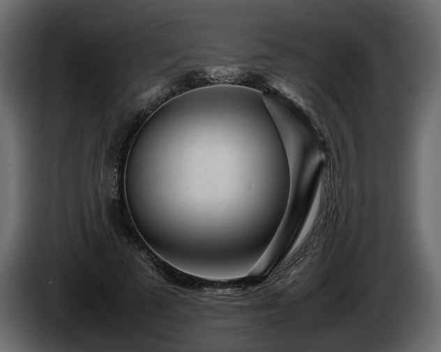 X0000085830689200703231420