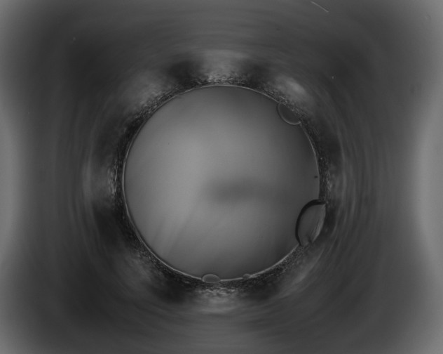 X0000085830691200703231420