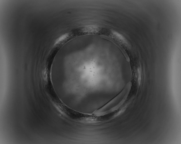 X0000085830692200703231420