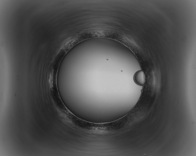 X0000085830694200703231420