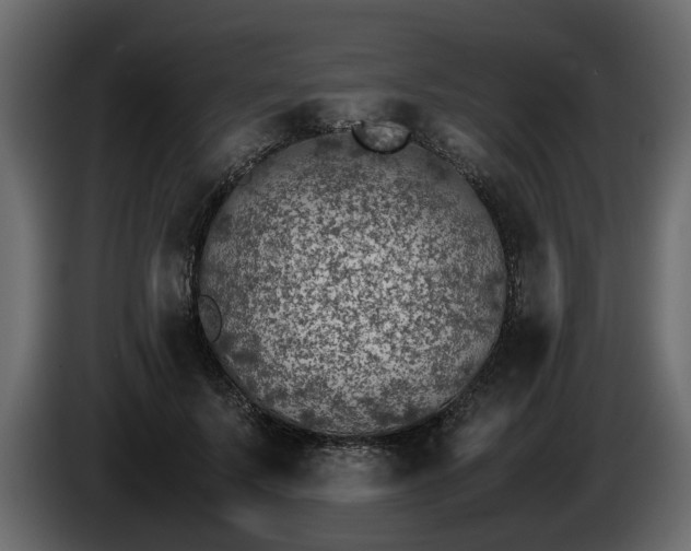 X0000085830695200703231420