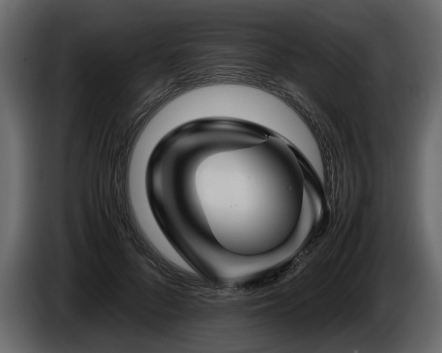 X0000085830696200703231420