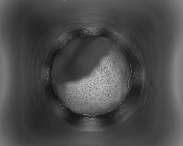 X0000085830699200703231420