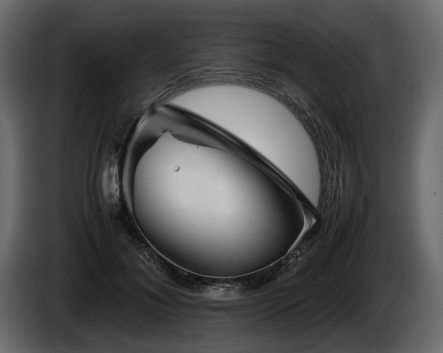 X0000085830700200703231420